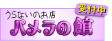 群馬、占い東洋占術パメラの館
