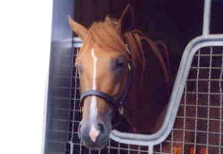 �����^��