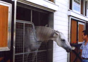 �^�}���N���X