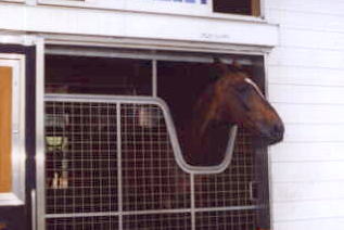 �A���o�[�V���_�C