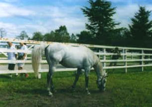 �S�[���f���t�F�U���g