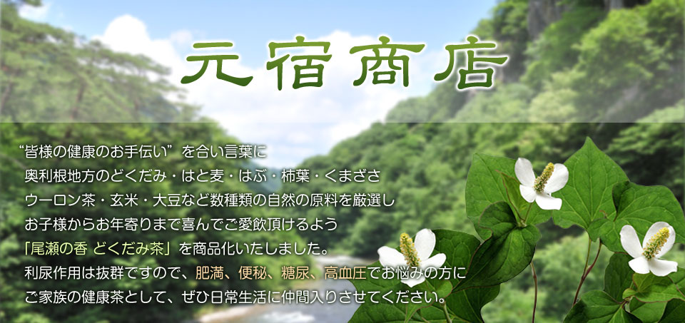 本格派自然健康茶 元宿商店