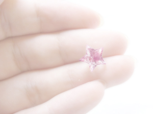 ���m��p�p�����̊ف@�Q�n�@�肢�@�l�����k�@���Y�ݑ��k�@�^���b�g�@�l�������@�q�v�m�Z���s�[