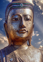 ���m��p�p�����̊ف@�Q�n�@�肢�@�l�����k�@���Y�ݑ��k�@�^���b�g�@�l�������@�q�v�m�Z���s�[