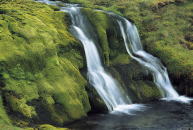 東洋占術パメラの館 群馬 占い 人生相談 お悩み相談 タロット 四柱推命 ヒプノセラピー