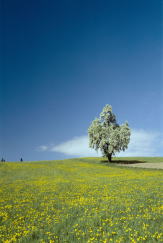 ���m��p�p�����̊ف@�Q�n�@�肢�@�l�����k�@���Y�ݑ��k�@�^���b�g�@�l�������@�q�v�m�Z���s�[